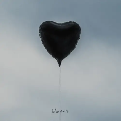 The Amity Affliction : Misery